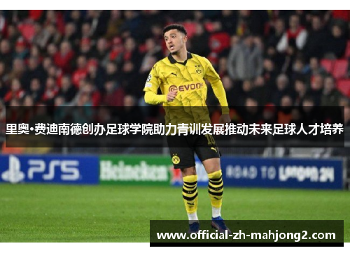 里奥·费迪南德创办足球学院助力青训发展推动未来足球人才培养