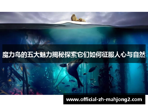 魔力鸟的五大魅力揭秘探索它们如何征服人心与自然